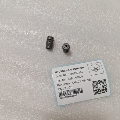 Excavator Check Valve Assy XJBN-00072 XJBN-01009 For R320 R330 R380